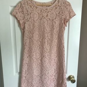 Blush Lace Knee Length Dress
